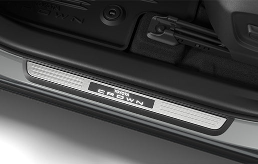 Front illuminated Door Sill Protectors
