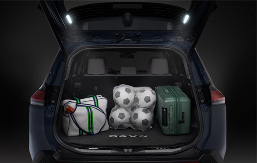 Rear Hatch Cargo Lamp / Rav4