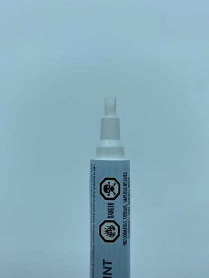 C0355-001D6 Touch-Up Paint Silver Sky